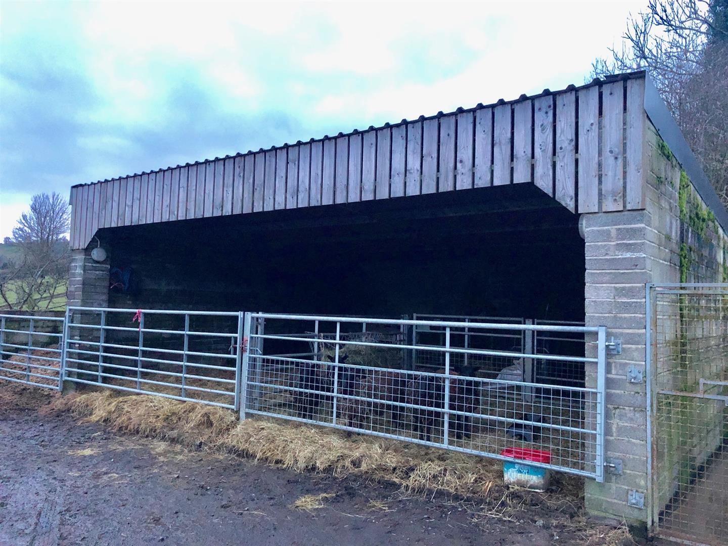 LIVESTOCK BUILDING